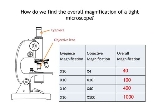 microscope magnification calculation